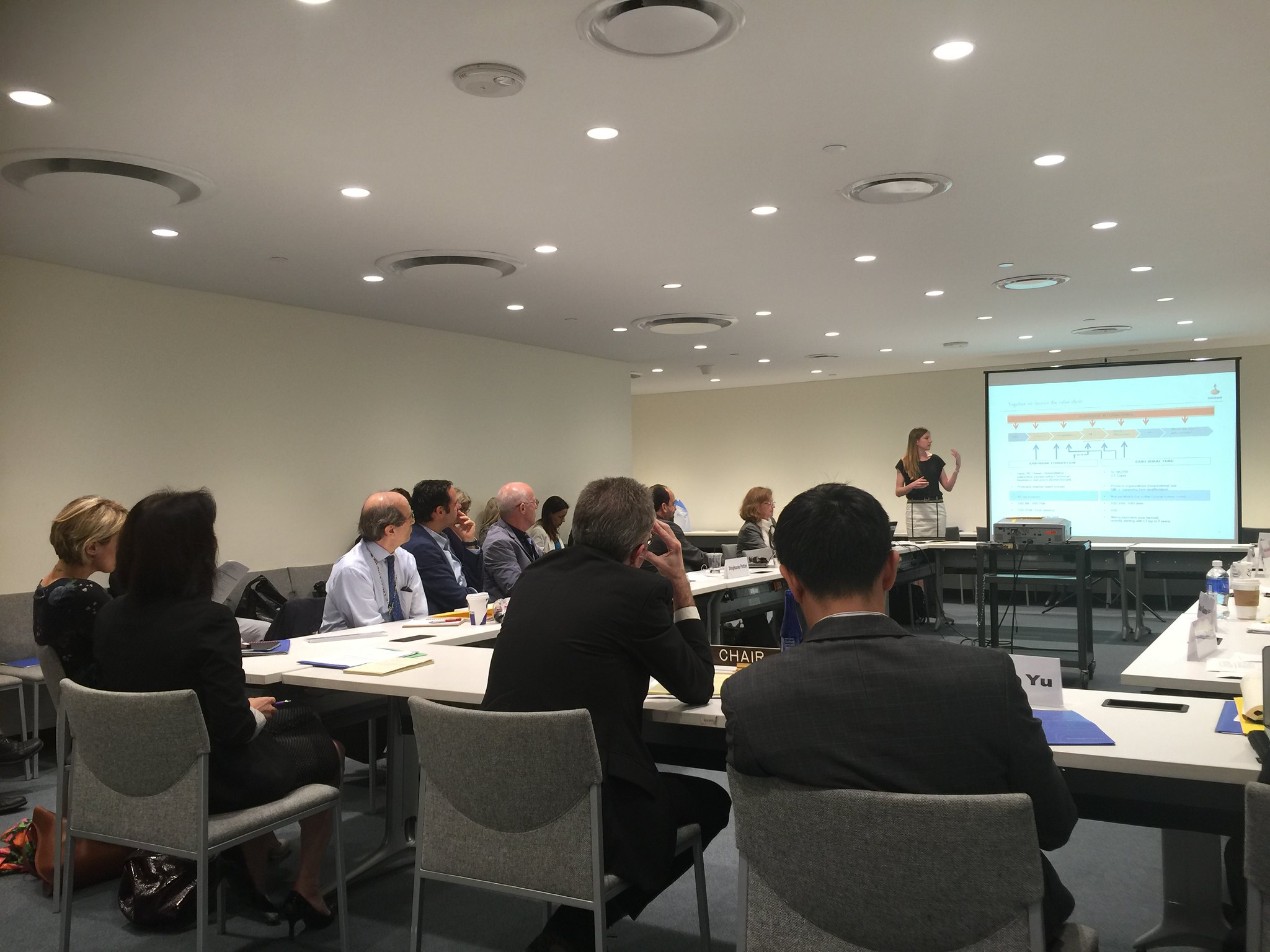 EGM on Strategies for Eradicating Poverty to Achieve the SDGs, 1-3 June 2016
