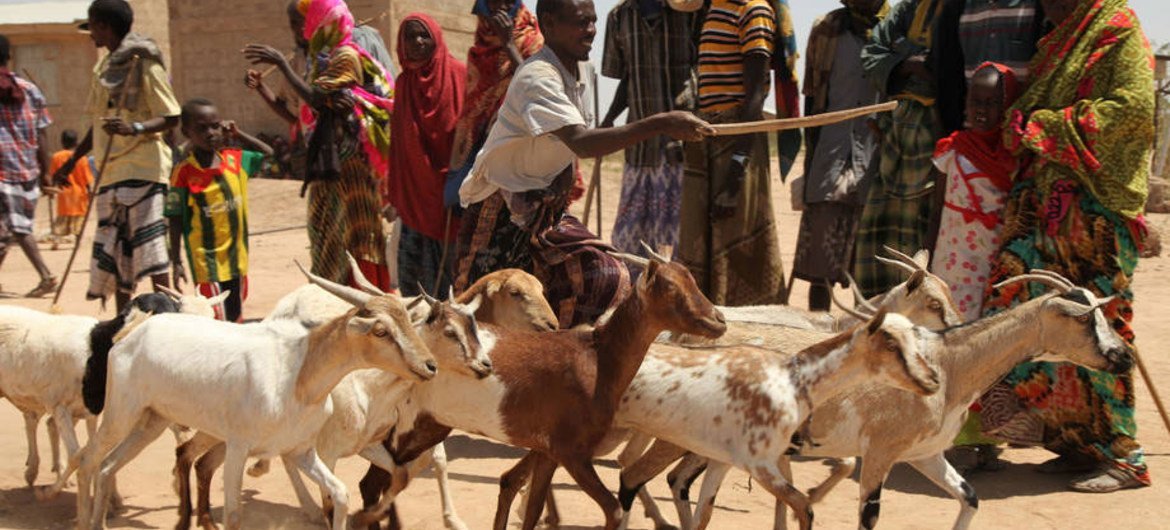 EGM on the Cooperative Sector and the 2030 Agenda for Sustainable Development