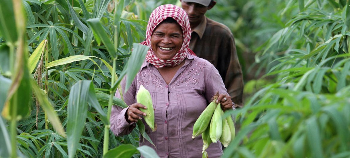 International Day for the Eradication of Poverty 2013