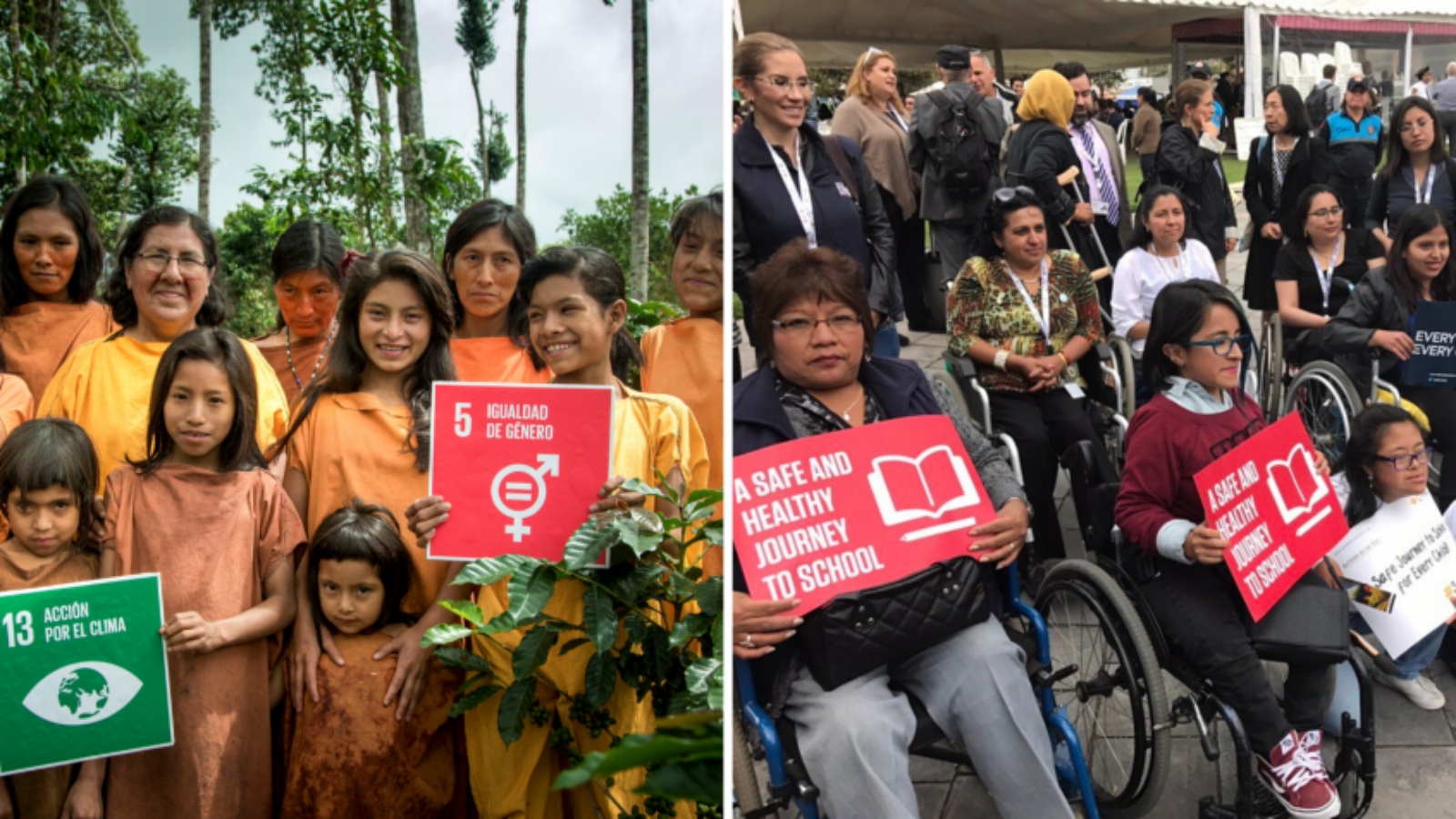 Engaging social groups in the VNR process – A case study of persons with disabilities and indigenous peoples