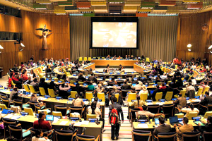UNPFII 13th Session