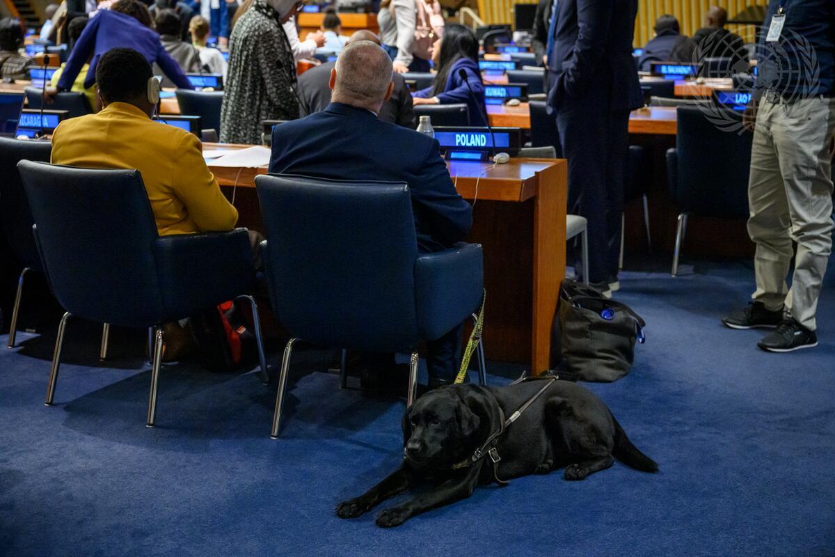 COSP16 Photo