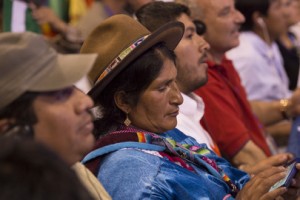 UNPFII 15th session
