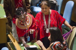 L’Instance permanente de l’ONU