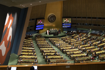 UN General Assembly