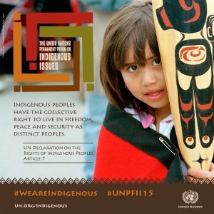 UNPFII16_digital_images3