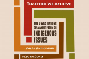 Statement from Mr. Alvaro Pop Ac, Chair of the Permanent Forum on Indigenous Issues and Professor Megan Davis, Member of the Permanent Forum on Indigenous Issues on the Don Dale Youth Detention Center (NT, Australia)