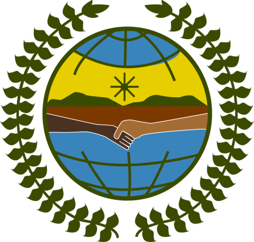 UNPFII Visual