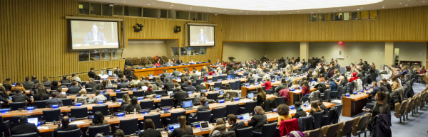 UN Youth Resolution
