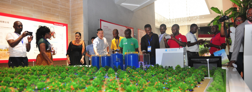Youth Social Entrepreneurship and the 2030 Agenda