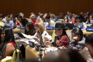 sessionsunpfii