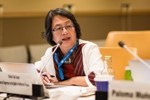 Special_Rapporteur
