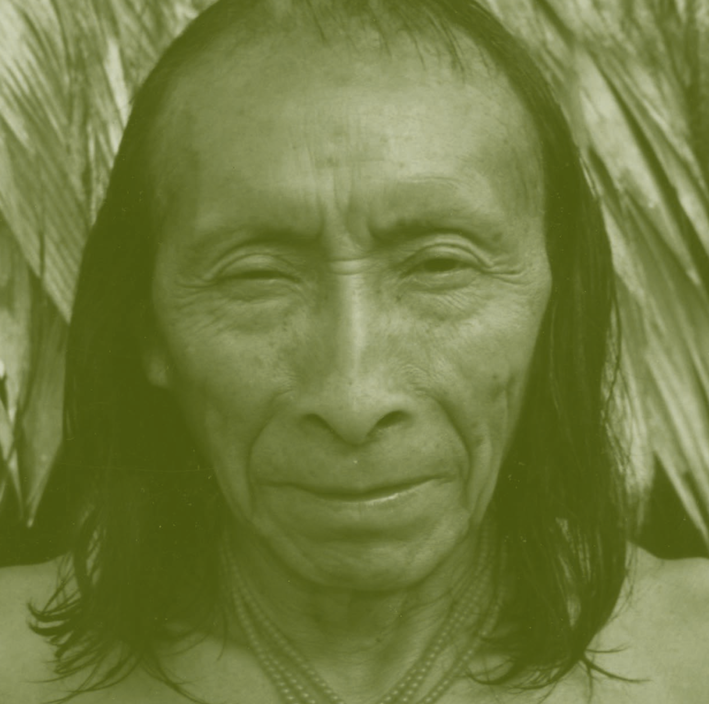 Indigenous peoples, Indigenous voices