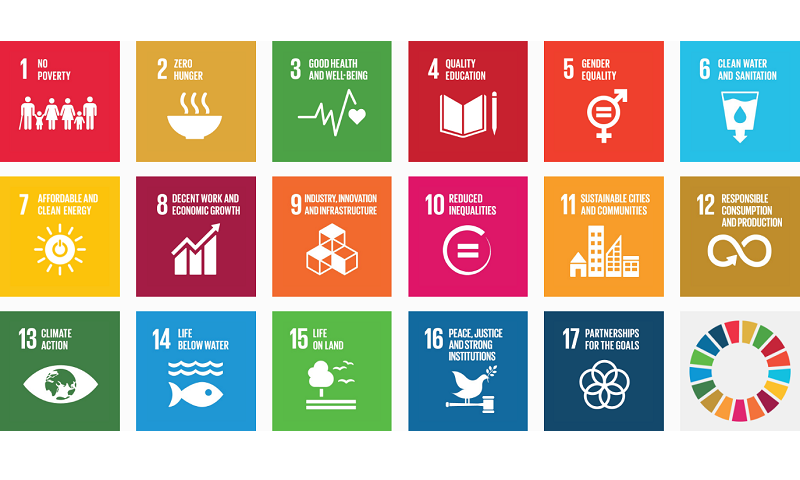 SDG Learning Hub